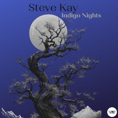 Steve Kay - Indigo Nights [CVIP220]